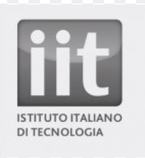 Italian Institute of Technology Logo